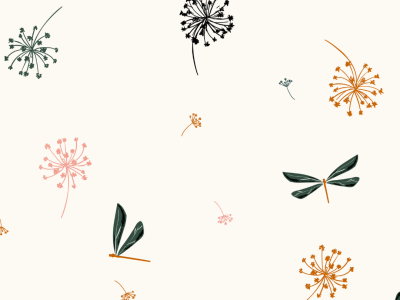 dragonfly graphic