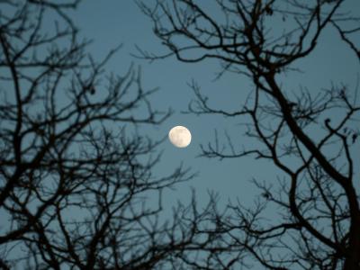 moon